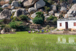 Group of farm workers with a small farmhouse Group of farm workers with a small farmhouse